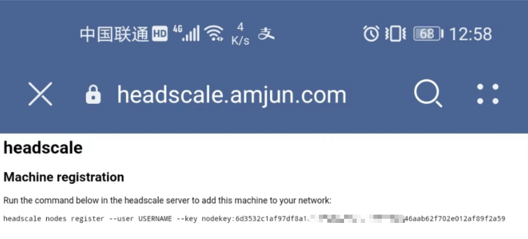 Docker 搭建 headscale 异地组网完整教程 Docker 搭建 headscale 异地组网完整教程