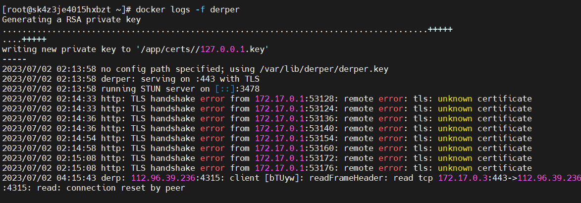 Docker 搭建中继服务器 derp - 纯 IP 实现 Docker 搭建中继服务器 derp - 纯 IP 实现