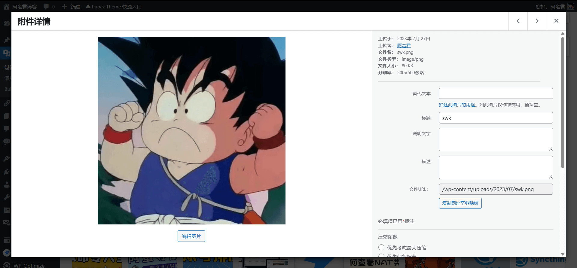 Wordpress 设置多域名可访问 Wordpress 设置多域名可访问