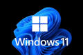 Docker 使用自定义镜像安装 Win11