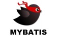 Mybatis 详解及详细使用教程