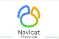 Navicat15 最新版下载和安装教程