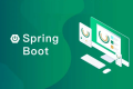 Springboot 使用 nacos 时固定注册 ip