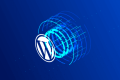 解决 WordPress 开启 cdn 后不能获取到用户真实 ip 问题