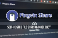 Docker 搭建文件中转工具 pingvin-share