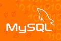Docker 安装 Mysql 5.x 和 8.x
