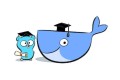 Docker 搭建磁盘监控工具 Doku