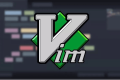 Vim 快速批量替换文本操作