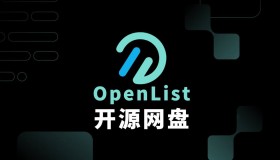 Docker 部署 Openlist 以及 Onlyoffice 在线预览 Docker 部署 Openlist 以及 Onlyoffice 在线预览