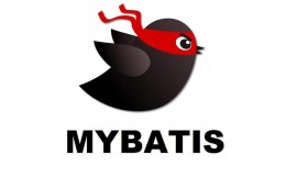 Mybatis 详解及详细使用教程