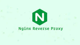 Nginx 带不带斜杆的区别最全分析 Nginx 带不带斜杆的区别最全分析