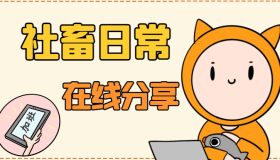 WordPress 主题美化 – 添加彩色滚动条