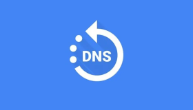 DNS 泛域名解析应用 nip.io 并申请证书 DNS 泛域名解析应用 nip.io 并申请证书